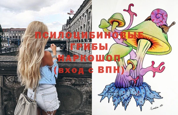 стафф Богородицк