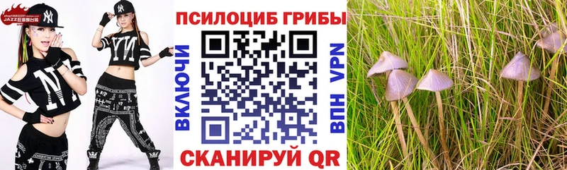 Галлюциногенные грибы мицелий  Петушки 