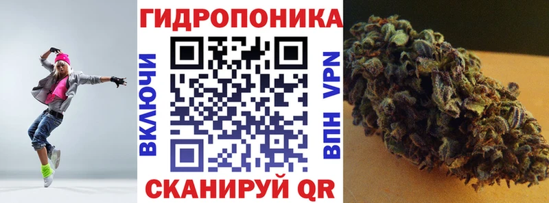 Бошки Шишки план  Петушки 