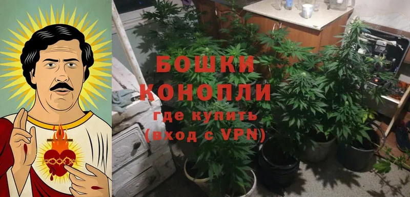 цены наркотик  Петушки  Конопля OG Kush 